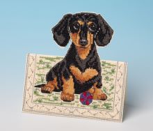 Playtime! deluxe greetings card